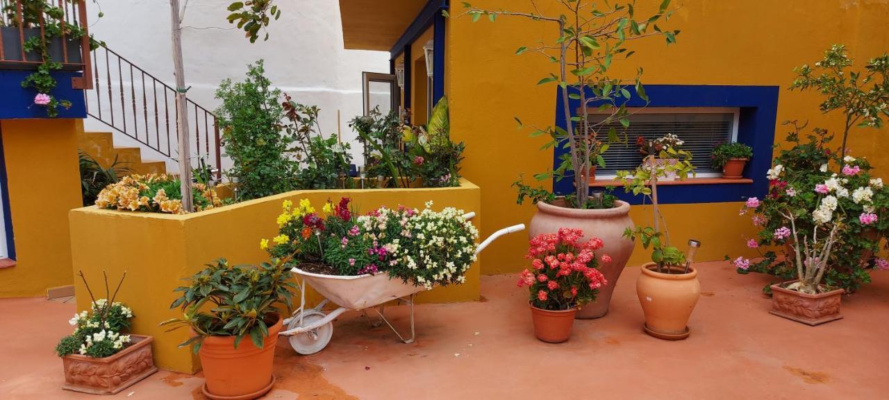 Casa Maestro Lelo - Acogedora Casa Rural Canaria Con Patios Y Jardines De Flores Las Palmas de Gran Canaria Exterior photo